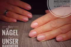 IMG_20190403_114541-03