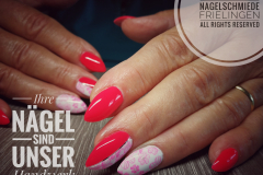 IMG_20190705_122731-02