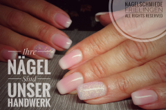 IMG_20190723_110152-01