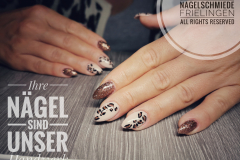 IMG_20190926_191540-01