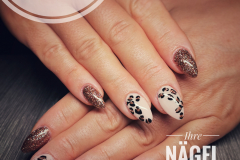 IMG_20190926_191607-01