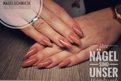 IMG_20191112_190334-01