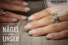 IMG_20191115_192648-01