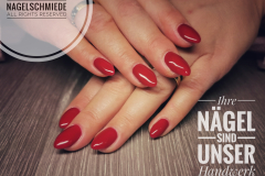 IMG_20200123_103647-03