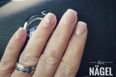 IMG_20220414_125509-01-scaled